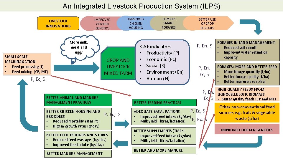 An Integrated Livestock Production System (ILPS) LIVESTOCK INNOVATIONS SMALL SCALE MECHINAISATION • Feed processing