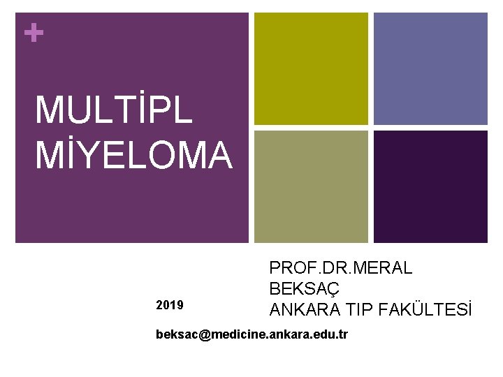 + MULTİPL MİYELOMA 2019 PROF. DR. MERAL BEKSAÇ ANKARA TIP FAKÜLTESİ beksac@medicine. ankara. edu.