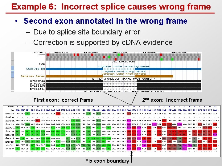 Interpreting the human genome Manolis Kellis CSAIL MIT