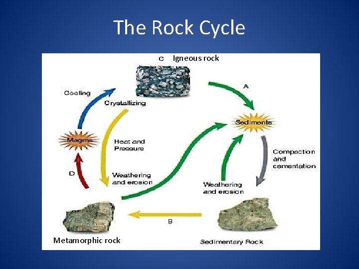 The Rock Cycle Igneous rock Metamorphic rock 