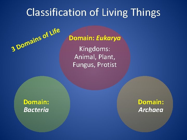 Classification of Living Things 3 m o D s ain e f i L