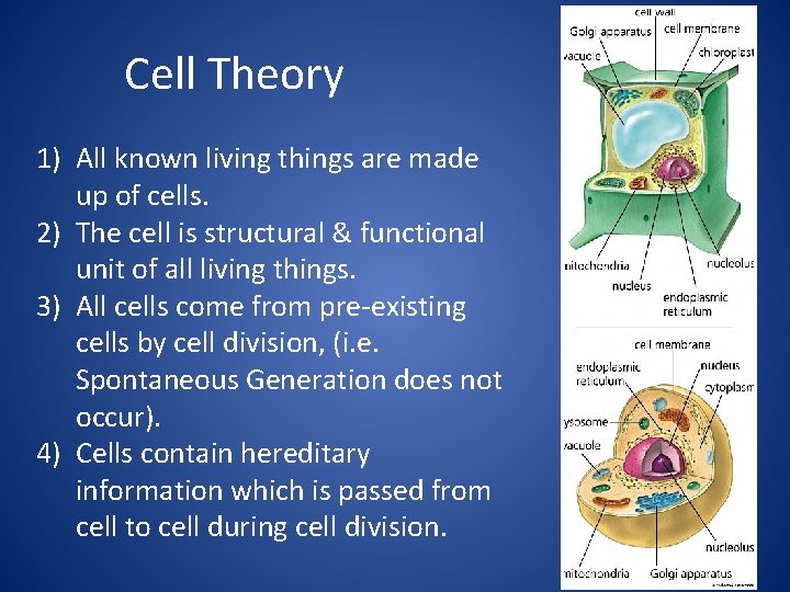 Cell Theory 1) All known living things are made up of cells. 2) The
