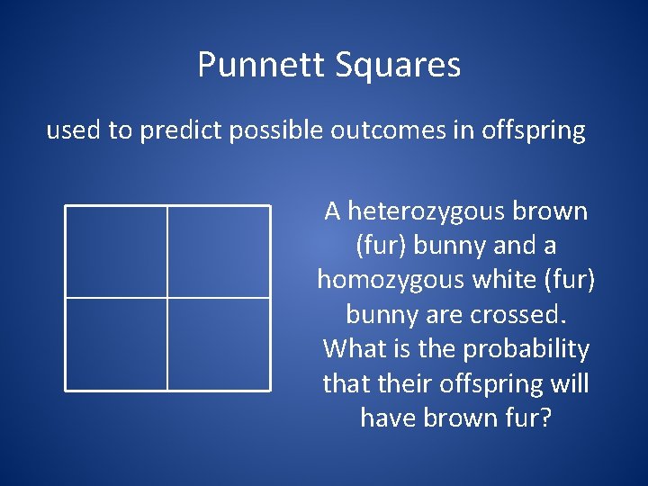 Punnett Squares used to predict possible outcomes in offspring A heterozygous brown (fur) bunny