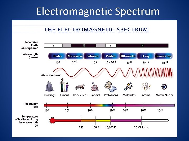 Electromagnetic Spectrum 