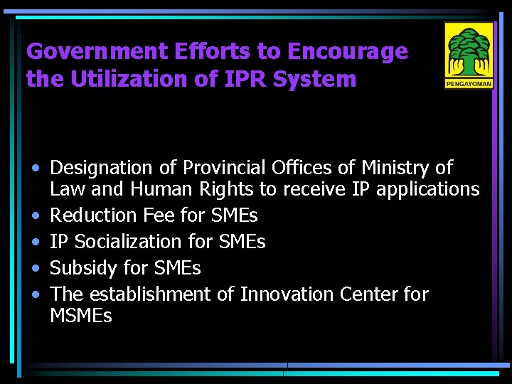 Government Efforts to Encourage the Utilization of IPR System • Designation of Provincial Offices