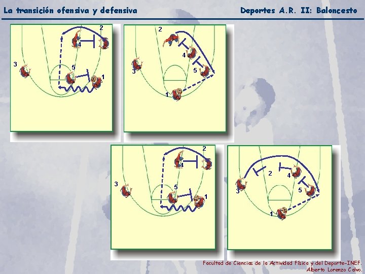 La transición ofensiva y defensiva 2 Deportes A. R. II: Baloncesto 2 4 4