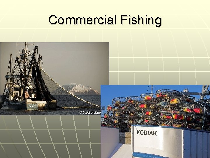 Commercial Fishing 