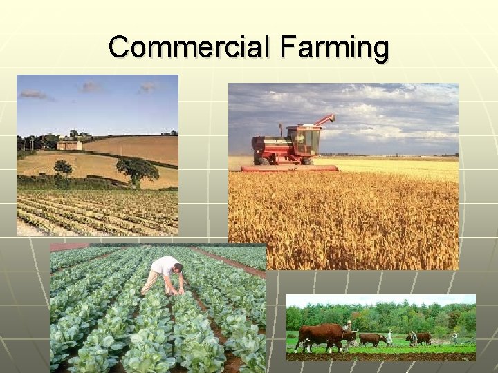 Commercial Farming 