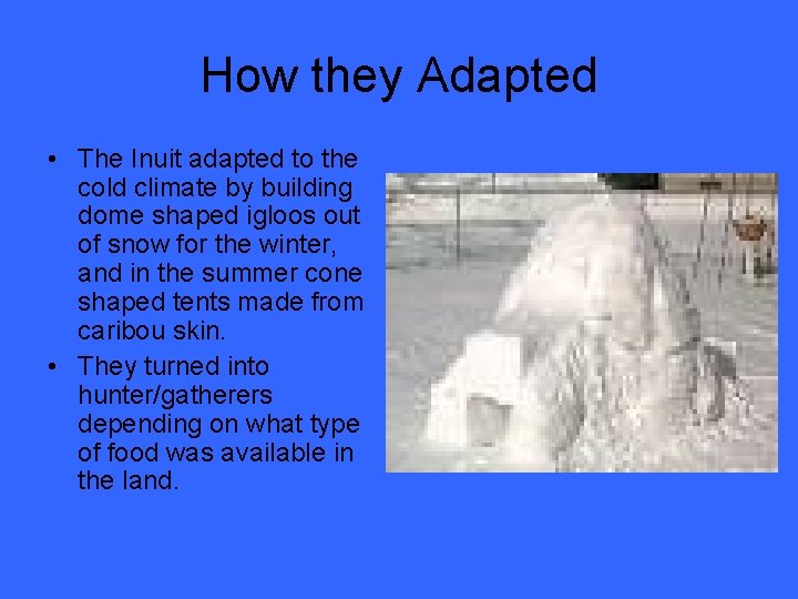 How they Adapted • The Inuit adapted to the cold climate by building dome