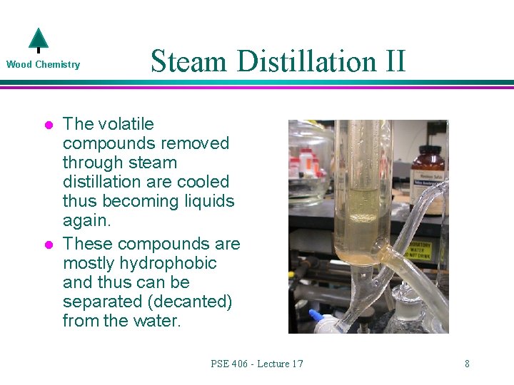 Steam Volatile Compounds Wood Chemistry PSE 406Chem E 470 Lecture 17