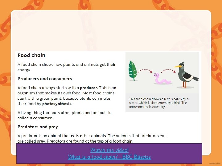 Watch the video! What is a food chain? BBC Bitesize 