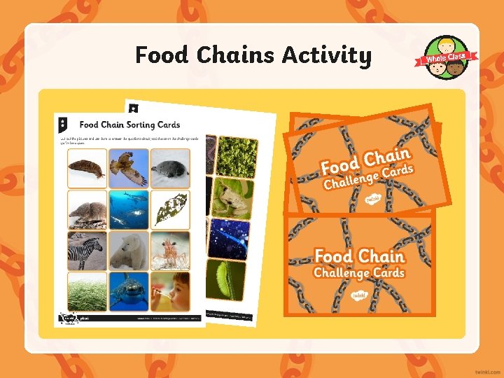 Food Chains Activity 