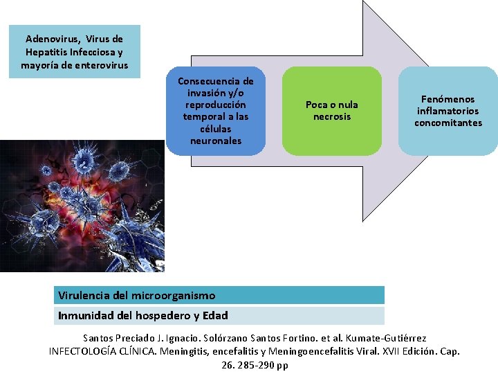 Adenovirus, Virus de Hepatitis Infecciosa y mayoría de enterovirus Consecuencia de invasión y/o reproducción