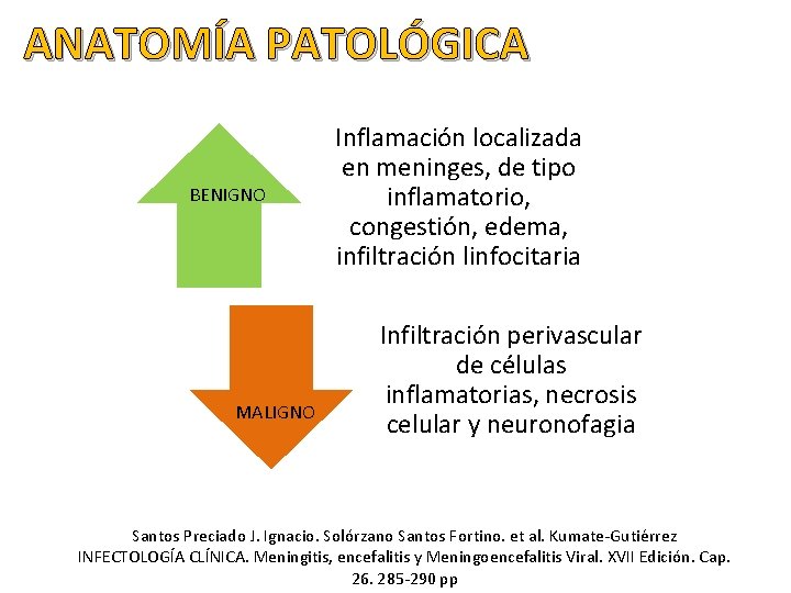 ANATOMÍA PATOLÓGICA BENIGNO MALIGNO Inflamación localizada en meninges, de tipo inflamatorio, congestión, edema, infiltración