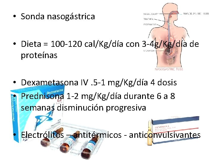  • Sonda nasogástrica • Dieta = 100 -120 cal/Kg/día con 3 -4 g/Kg/día