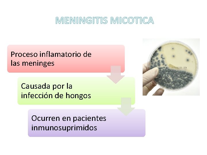 Proceso inflamatorio de las meninges Causada por la infección de hongos Ocurren en pacientes