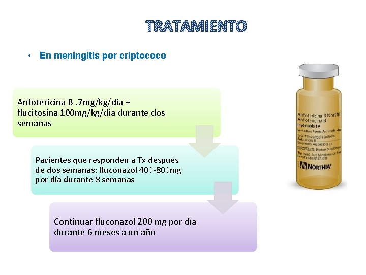 TRATAMIENTO • En meningitis por criptococo Anfotericina B. 7 mg/kg/día + flucitosina 100 mg/kg/día