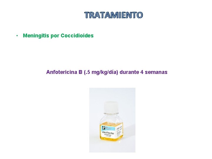 TRATAMIENTO • Meningitis por Coccidioides Anfotericina B (. 5 mg/kg/día) durante 4 semanas 