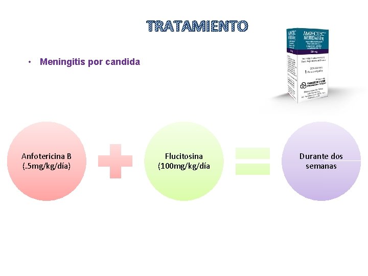 TRATAMIENTO • Meningitis por candida Anfotericina B (. 5 mg/kg/día) Flucitosina (100 mg/kg/día Durante