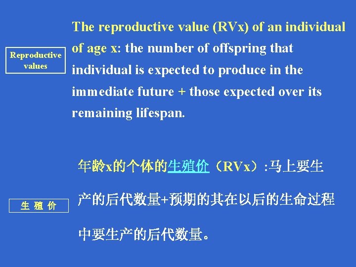 The reproductive value (RVx) of an individual Reproductive values of age x: the number