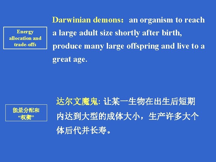 Darwinian demons：an organism to reach Energy allocation and trade-offs a large adult size shortly