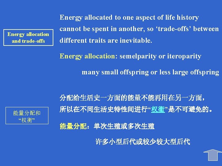 Energy allocated to one aspect of life history Energy allocation and trade-offs cannot be