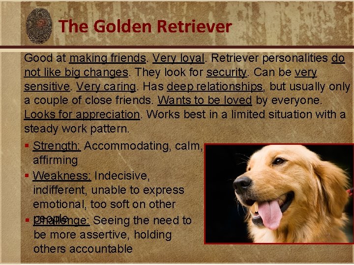The Golden Retriever Good at making friends. Very loyal. Retriever personalities do not like