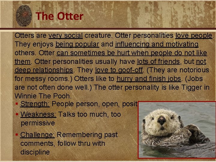 The Otters are very social creature. Otter personalities love people. They enjoys being popular