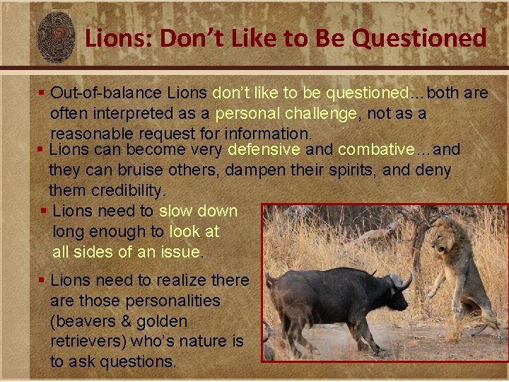 Lions: Don’t Like to Be Questioned § Out-of-balance Lions don’t like to be questioned…both