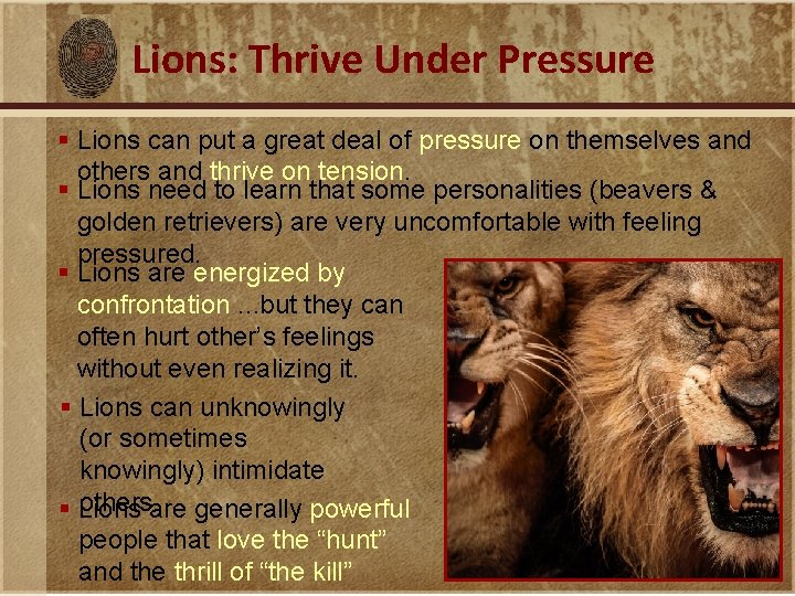 Lions: Thrive Under Pressure § Lions can put a great deal of pressure on