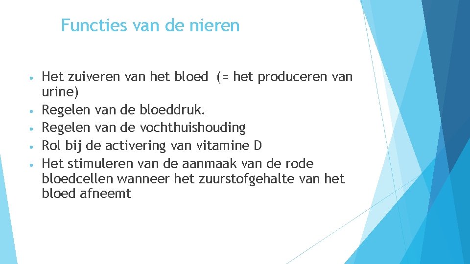 Functies van de nieren • • • Het zuiveren van het bloed (= het