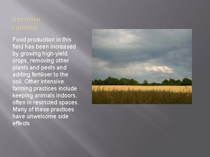 Intensive Farming Food production in this field has been increased by growing high-yield crops,