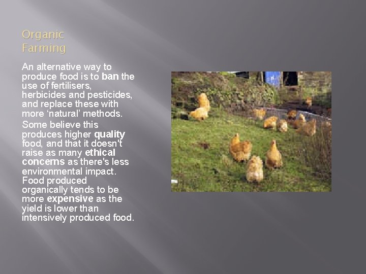 Organic Farming An alternative way to produce food is to ban the use of