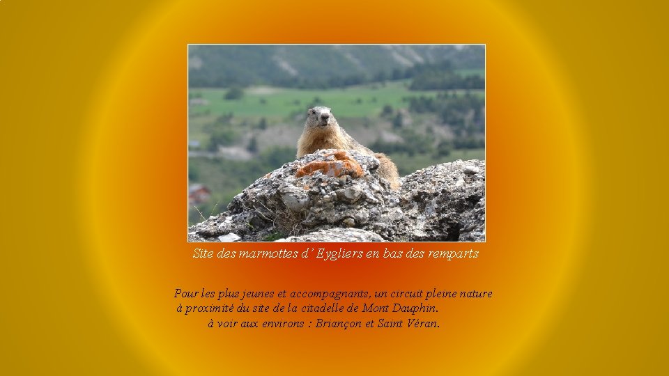 Site des marmottes d’ Eygliers en bas des remparts Pour les plus jeunes et
