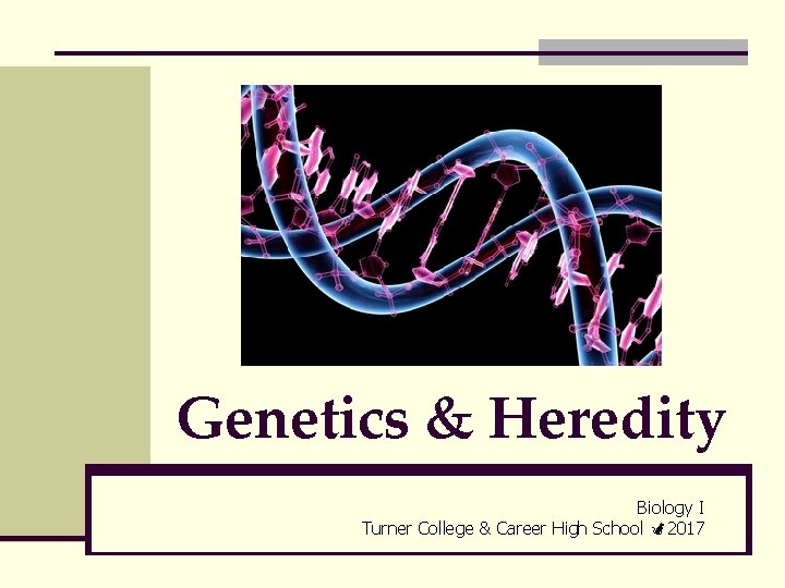 Genetics & Heredity Biology I Turner College & Career High School 2017 