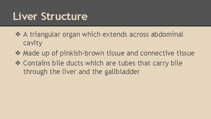 Essentially a long tube running through the body