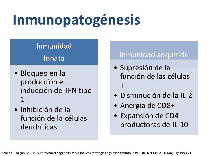 Inmunopatogénesis Inmunidad Innata • Bloqueo en la producción e inducción del IFN tipo 1