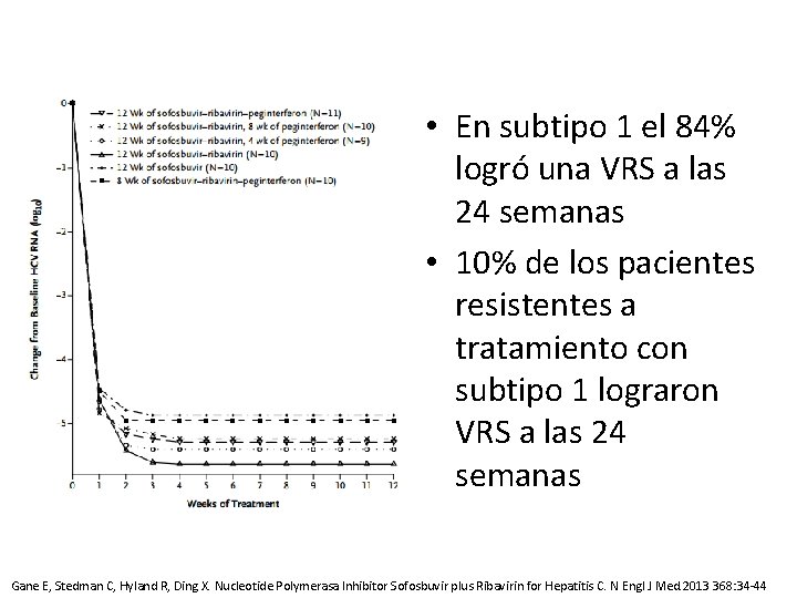  • En subtipo 1 el 84% logró una VRS a las 24 semanas