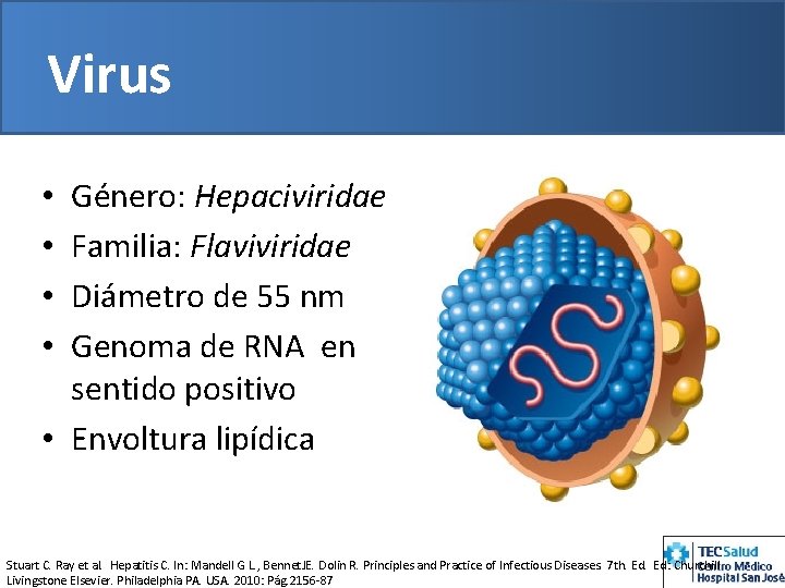 Virus Género: Hepaciviridae Familia: Flaviviridae Diámetro de 55 nm Genoma de RNA en sentido