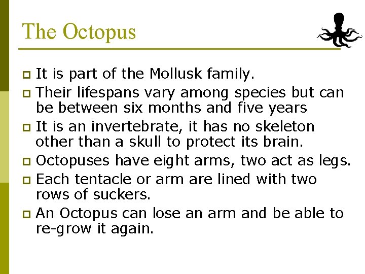The Octopus It is part of the Mollusk family. p Their lifespans vary among