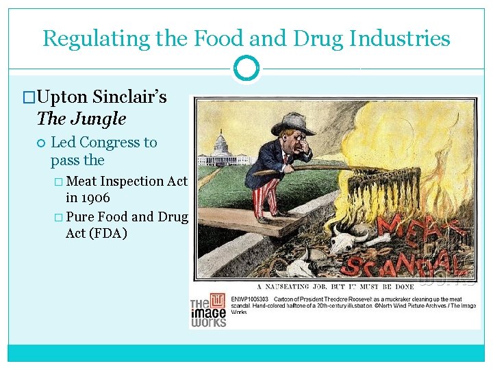 Regulating the Food and Drug Industries �Upton Sinclair’s The Jungle Led Congress to pass