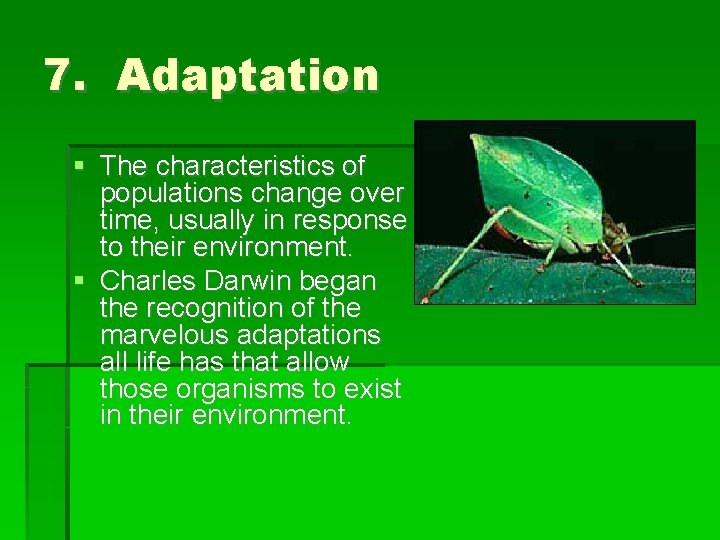 Its Alive What all living things have in