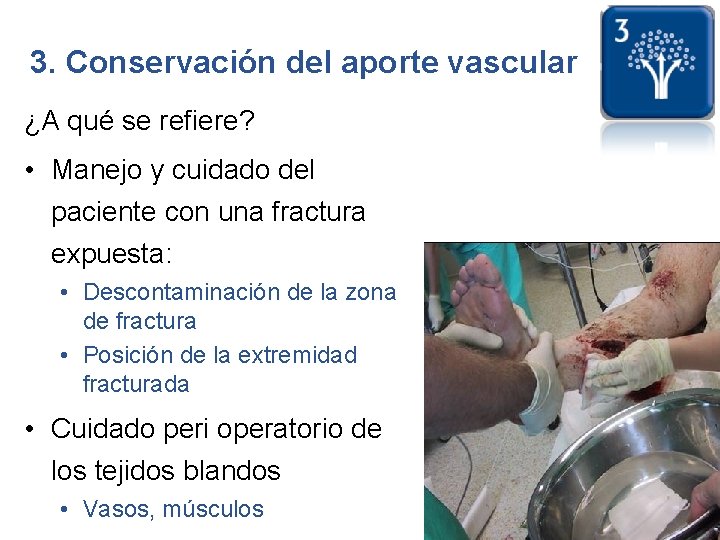 3. Conservación del aporte vascular ¿A qué se refiere? • Manejo y cuidado del