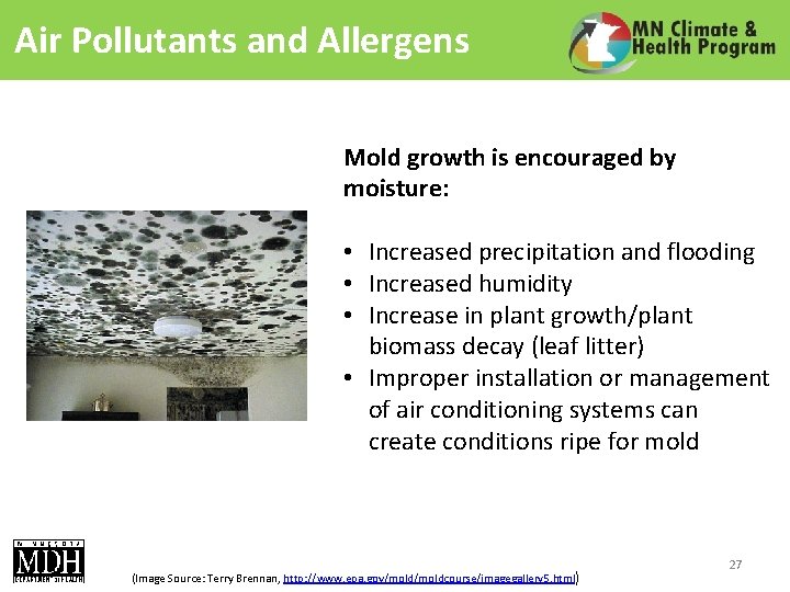 Air Pollutants and Allergens Mold growth is encouraged by moisture: • Increased precipitation and