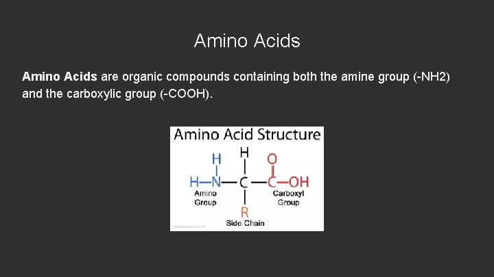 Amino Acids are organic compounds containing both the amine group (-NH 2) and the