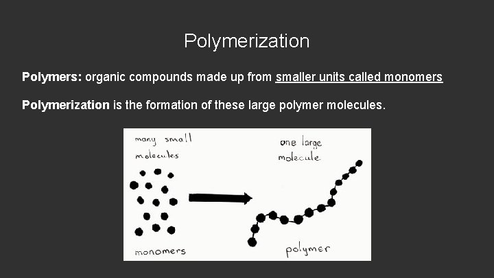 Polymerization Polymers: organic compounds made up from smaller units called monomers Polymerization is the