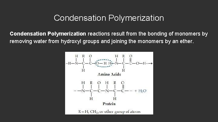 Condensation Polymerization reactions result from the bonding of monomers by removing water from hydroxyl