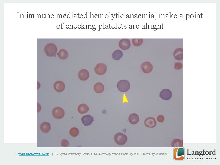 In immune mediated hemolytic anaemia, make a point of checking platelets are alright v