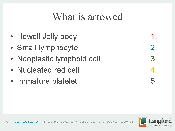 What is arrowed • • • 48 | Howell Jolly body Small lymphocyte Neoplastic