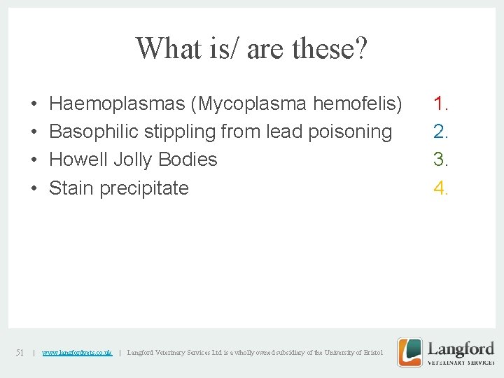 What is/ are these? • • 51 | Haemoplasmas (Mycoplasma hemofelis) Basophilic stippling from